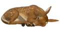 oz_3