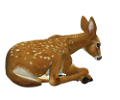 oz_63