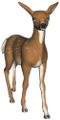 oz_74