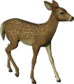 oz_98