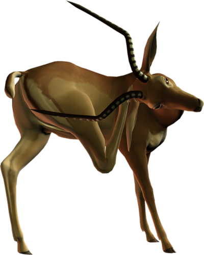 antilop_10.png