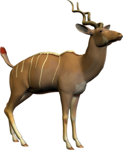 antilop_16.png
