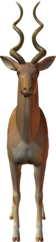 antilop_17.png