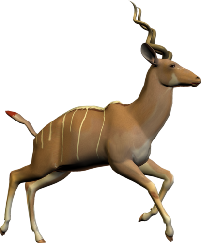 antilop_18.png
