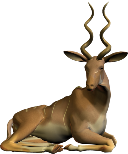 antilop_20.png