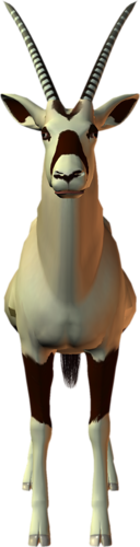 antilop_21.png