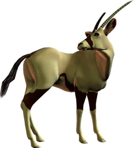 antilop_23.png
