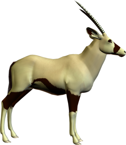 antilop_25.png