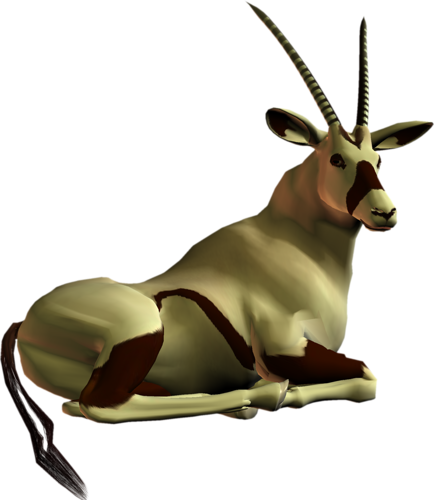 antilop_27.png
