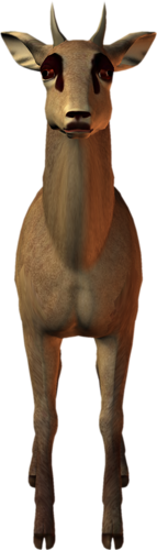 antilop_3.png