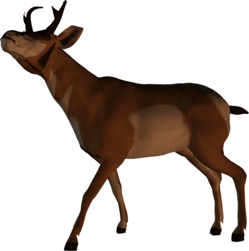 antilop_32.png