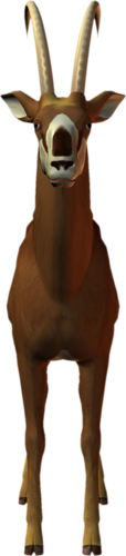 antilop_37.png