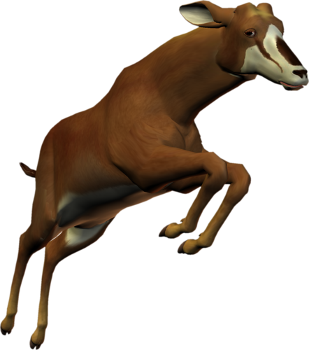 antilop_38.png