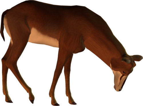 antilop_39.png