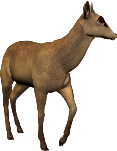 antilop_4.png
