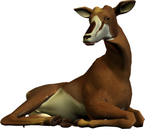 antilop_40.png