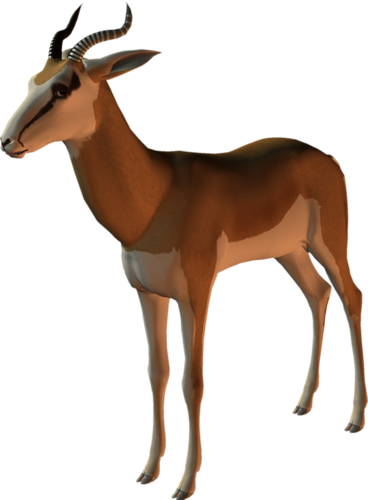 antilop_42.png
