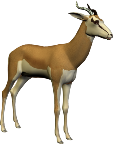 antilop_44.png