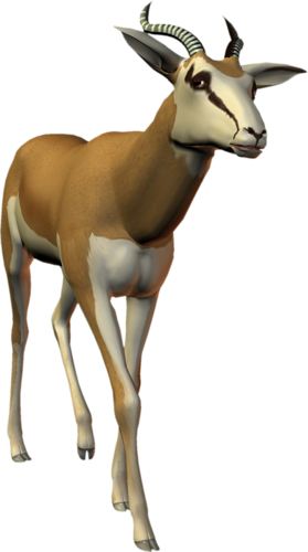 antilop_45.png