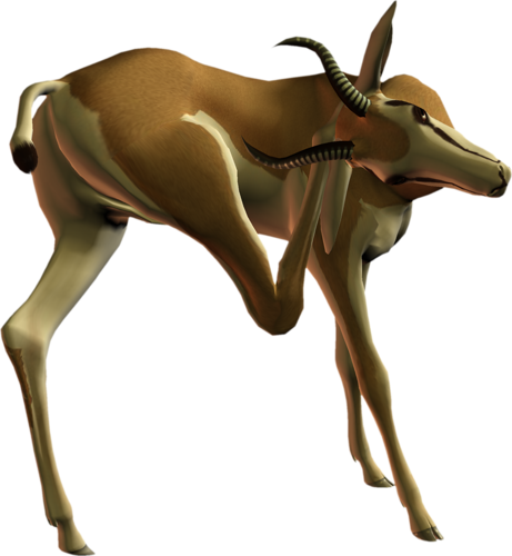 antilop_47.png