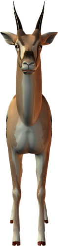antilop_48.png