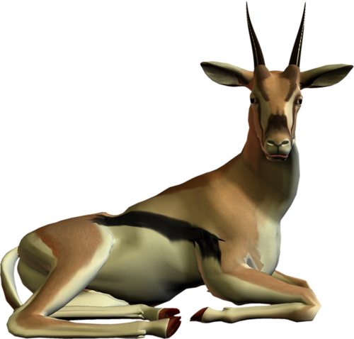 antilop_53.png