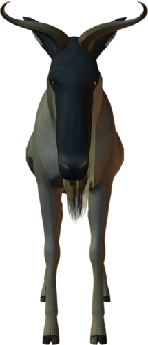 antilop_54.png