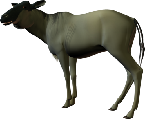 antilop_55.png
