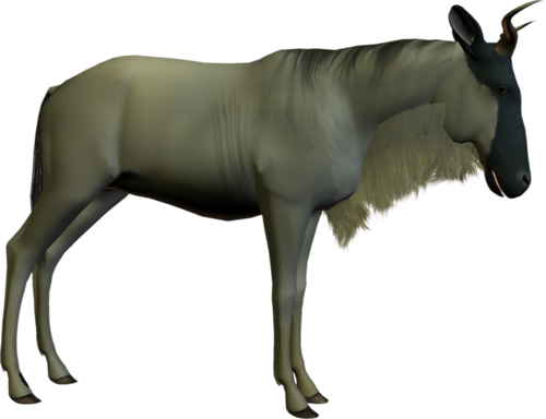 antilop_57.png