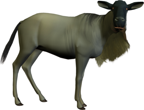 antilop_58.png