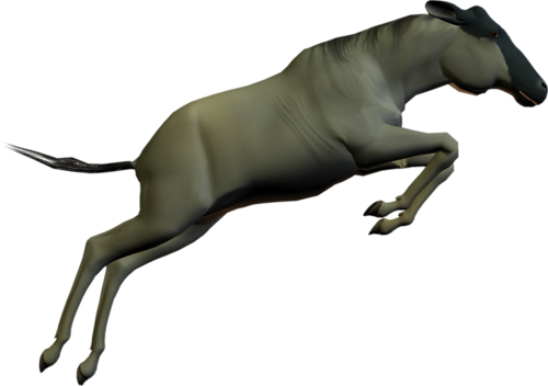 antilop_59.png