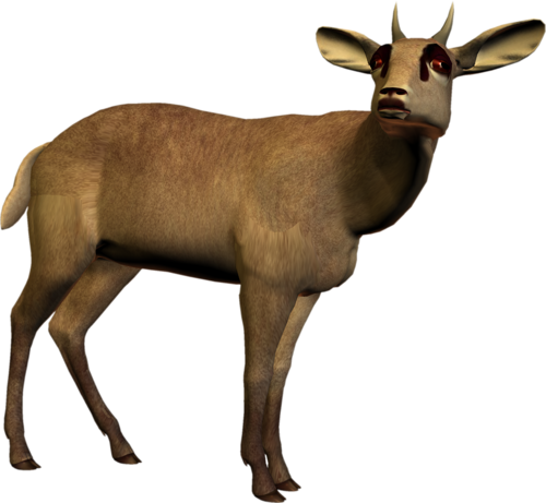 antilop_6.png
