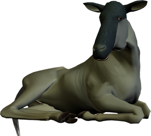 antilop_60.png
