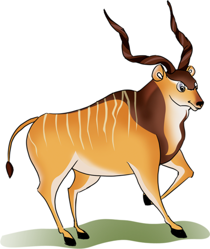 antilop_61.png