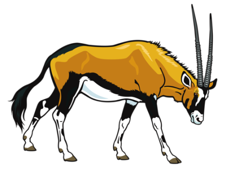 antilop_65.png