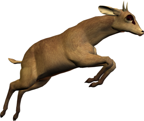 antilop_7.png