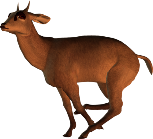 antilop_8.png