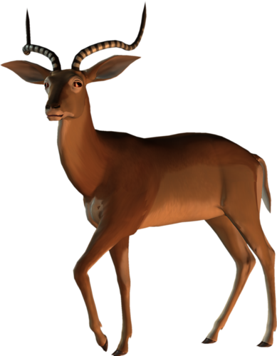 antilop_9.png