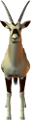 antilop_21
