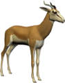 antilop_44