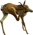 antilop_47