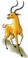 antilop_64