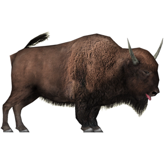 boleny_2.png
