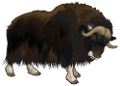 boleny_7