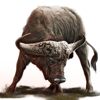 bivaly_1.png