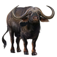 bivaly_3.png