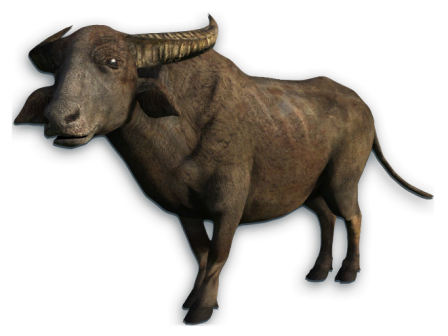 bivaly_5.png
