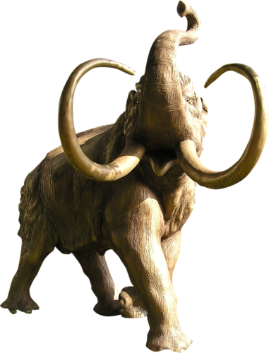 elefant_100.png
