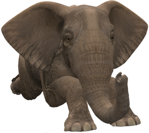 elefant_101.png
