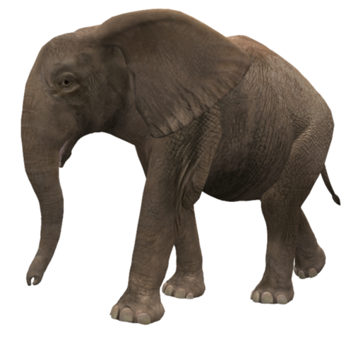 elefant_102.png